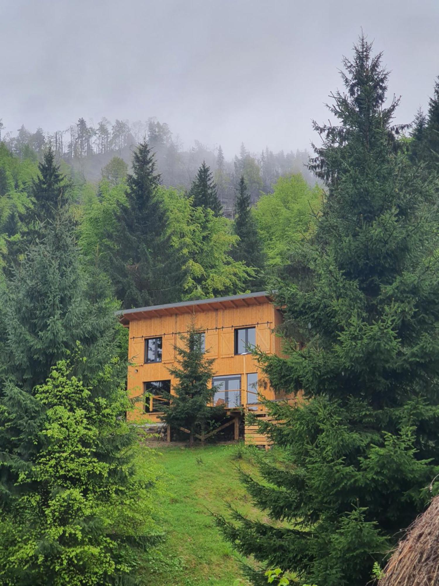 Vila La Hambare Colibiţa Exteriér fotografie